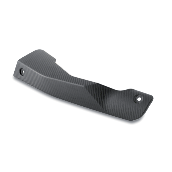 Carbon Hitzeschild für Aprilia RSV4 / Tuono Euro 3 (2009-2018)