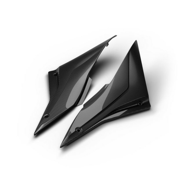 Seitenverkleidung Carbon Aprilia RSV4 / Tuono V4 1100 (25-)